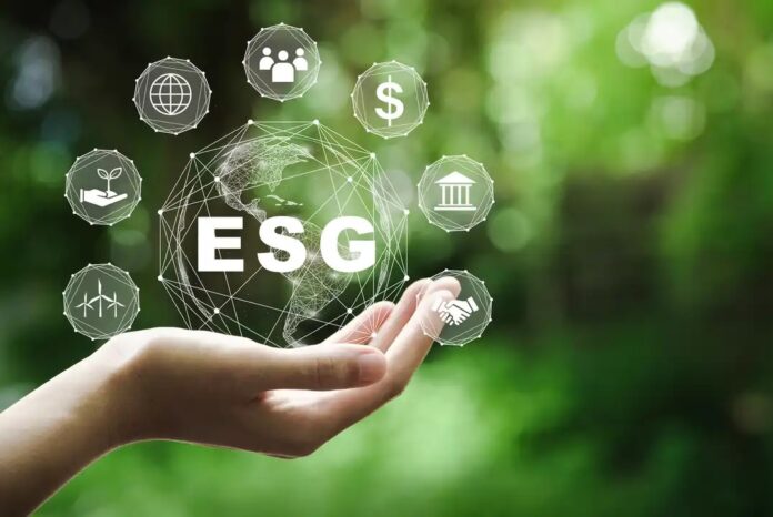 ESG investments: Sorting wheat from chaff
