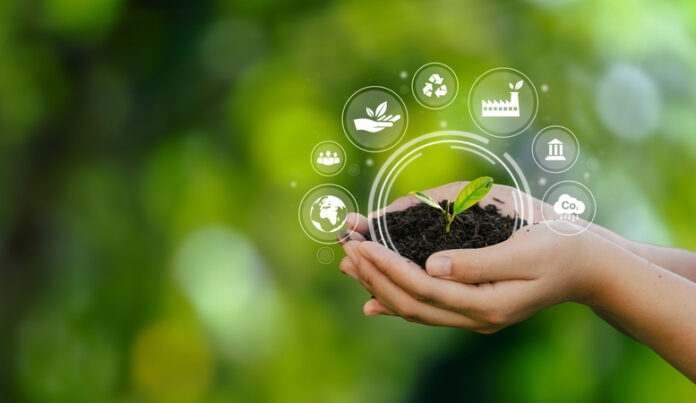 How manufacturers can transition to 100% renewable electricity